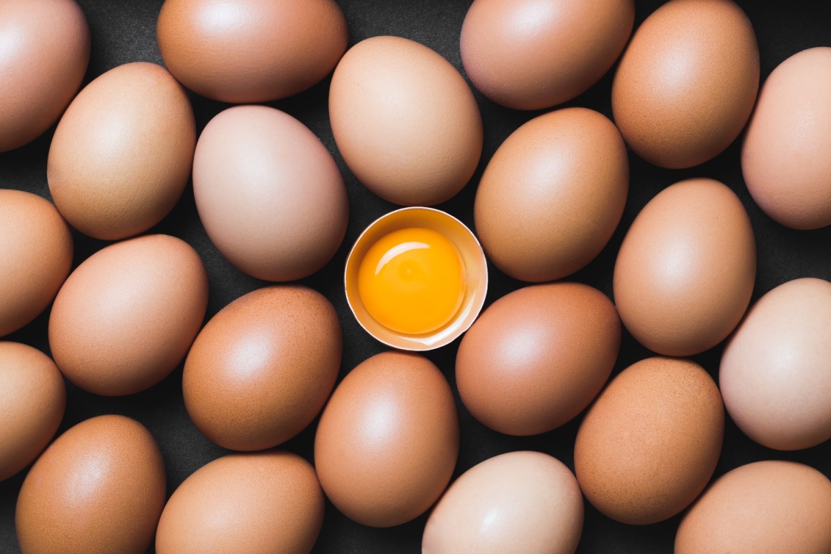 Günde Bir Yumurta Mutluluk Kaynağınız Olsun…